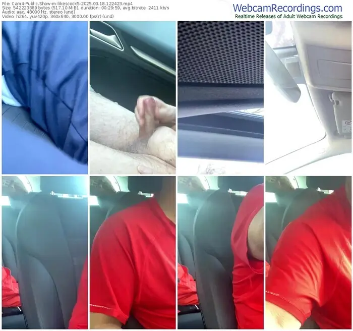 2025/03/18/cam4-likescock5-12-24-23