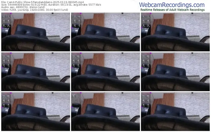 2025/03/19/cam4-pamelaaddams-08-00-45