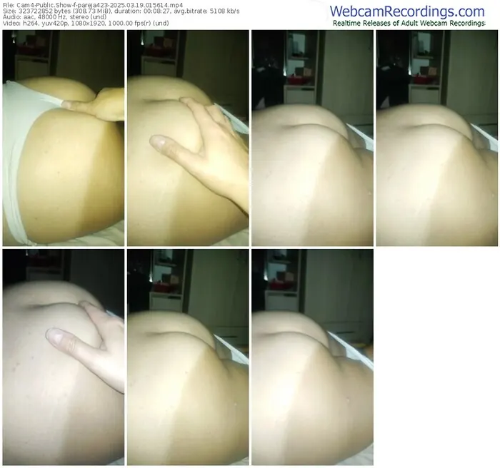 2025/03/19/cam4-pareja423-01-56-14