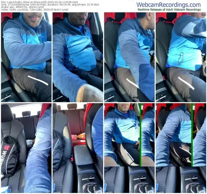 2025/03/20/cam4-likescock5-11-09-39