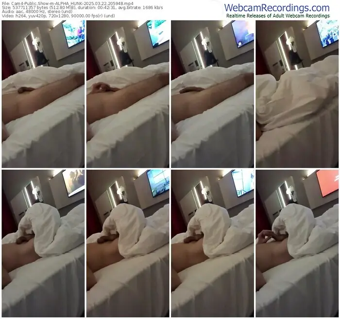 2025/03/22/cam4-alpha_hunk-20-59-48