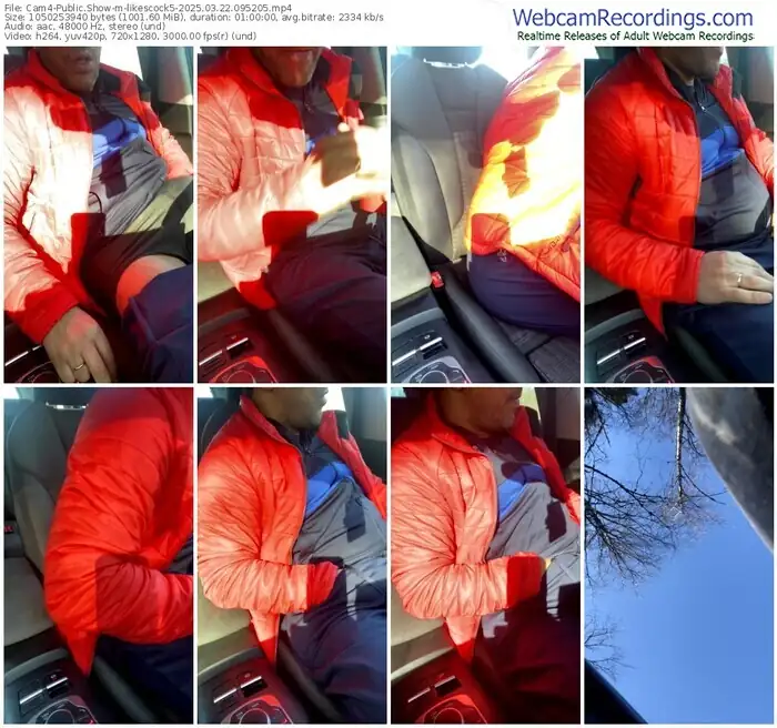 2025/03/22/cam4-likescock5-09-52-05