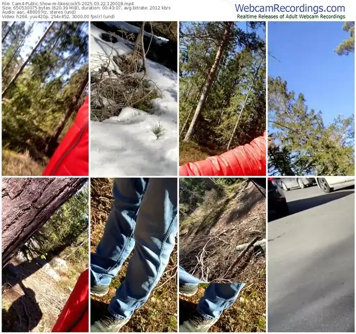 2025/03/22/cam4-likescock5-12-00-18