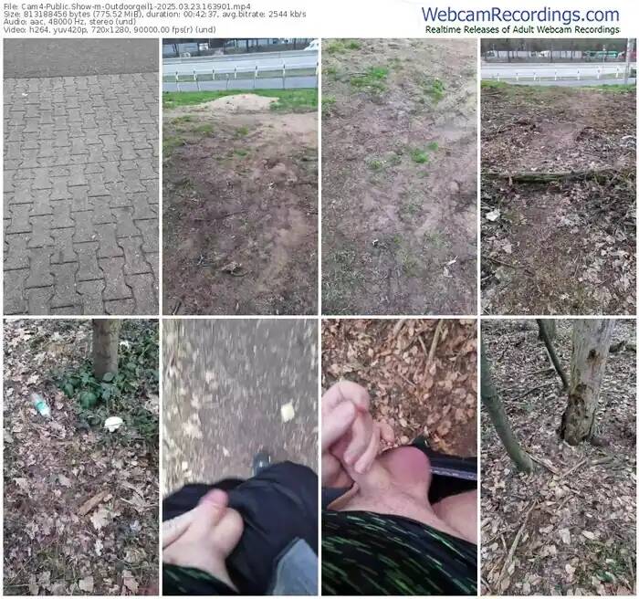2025/03/23/cam4-outdoorgeil1-16-39-01