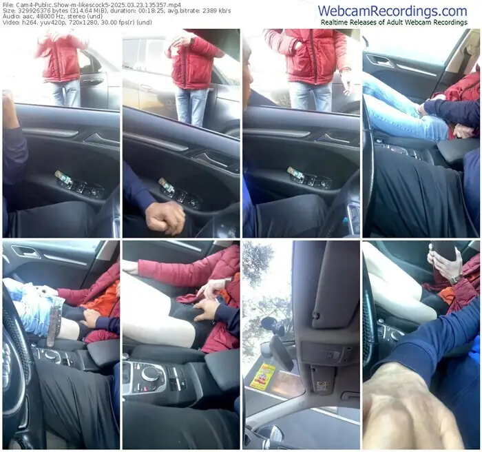 2025/03/23/cam4-likescock5-13-53-57