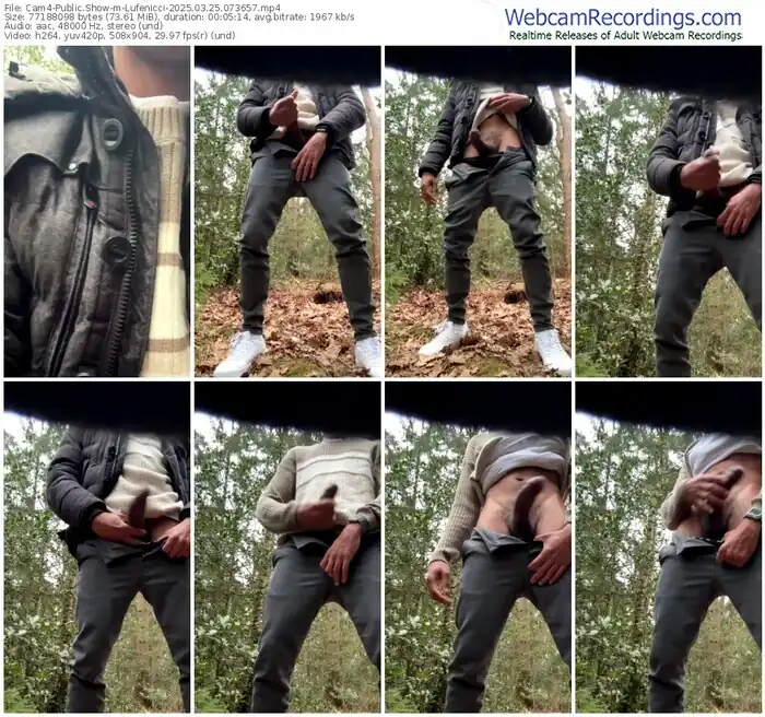 2025/03/25/cam4-lufenicci-07-36-57