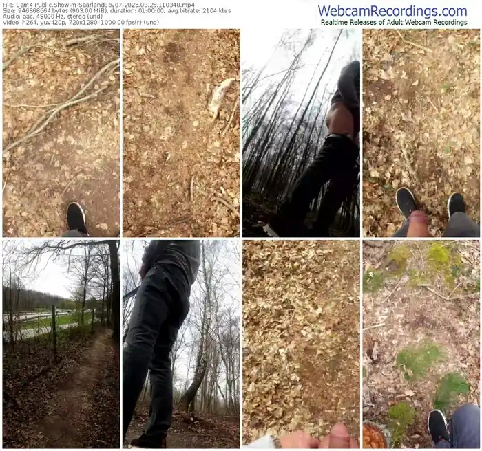 2025/03/25/cam4-saarlandboy07-11-03-48
