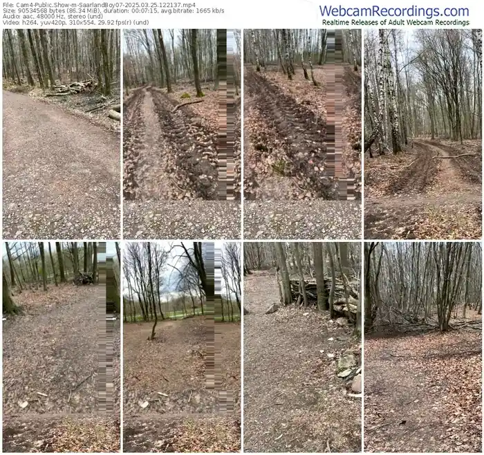 2025/03/25/cam4-saarlandboy07-12-21-37