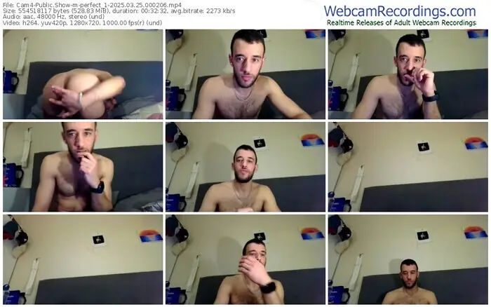 2025/03/25/cam4-perfect_1-00-02-06