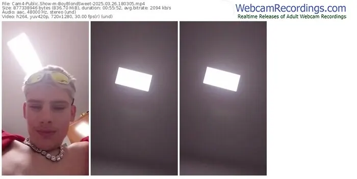 2025/03/26/cam4-boyblondsweet-18-03-05