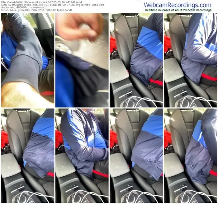 2025/03/26/cam4-likescock5-14-53-42