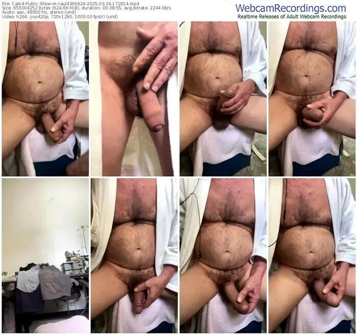 2025/03/26/cam4-raul4396624-17-18-14