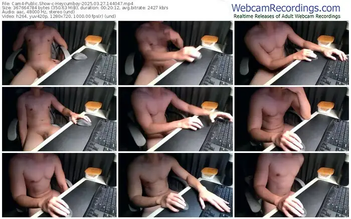 2025/03/27/cam4-heycumboy-14-40-47