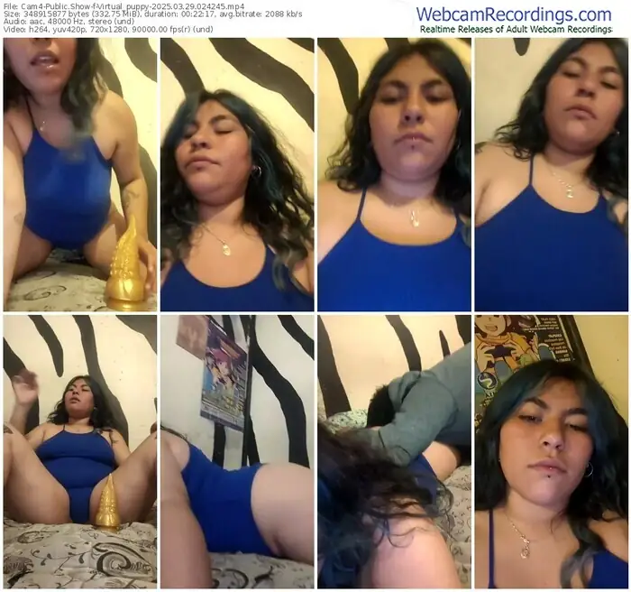 2025/03/29/cam4-virtual_puppy-02-42-45