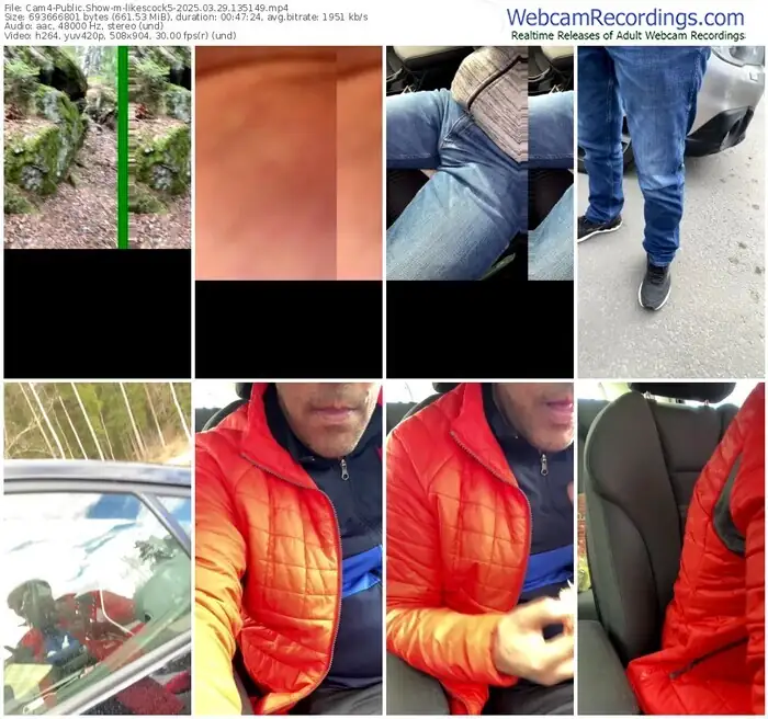 2025/03/29/cam4-likescock5-13-51-49