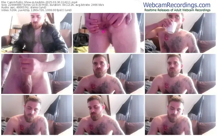 2025/03/30/cam4-tedstm-11-41-11