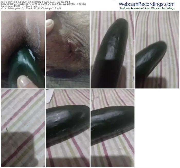 2025/03/31/cam4-chilepareja22-15-33-11