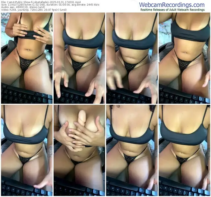 2025/03/31/cam4-lobasafada1-17-40-31