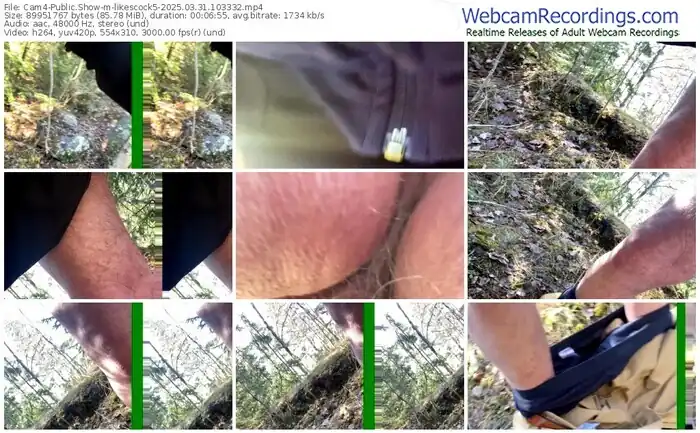 2025/03/31/cam4-likescock5-10-33-32