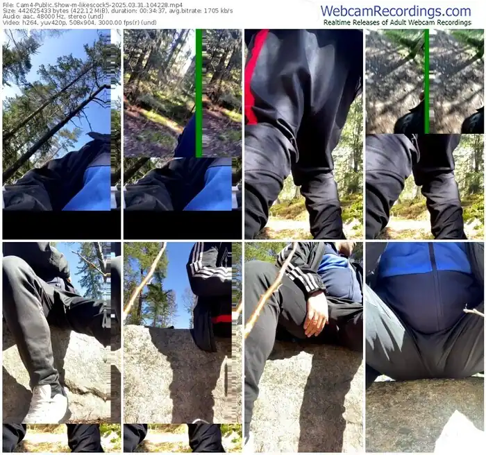 2025/03/31/cam4-likescock5-10-42-28