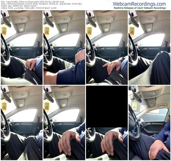 2025/03/31/cam4-likescock5-13-44-41