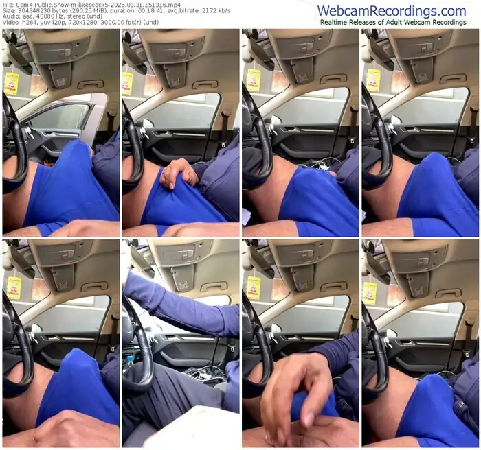 2025/03/31/cam4-likescock5-15-13-16