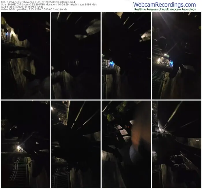 2025/03/31/cam4-pollen_07-20-06-26