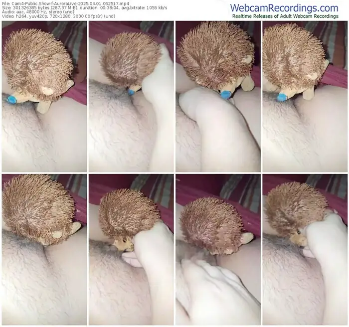2025/04/01/cam4-auroralive-06-25-17