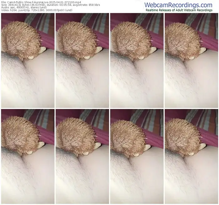 2025/04/01/cam4-auroralive-07-21-00