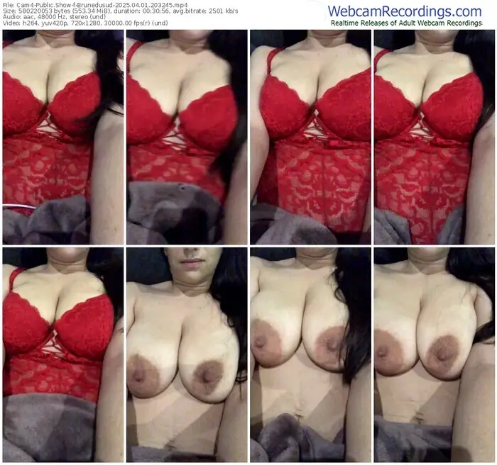 2025/04/01/cam4-brunedusud-20-32-45