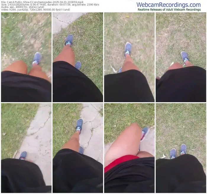 2025/04/01/cam4-conchamojadax-20-36-59