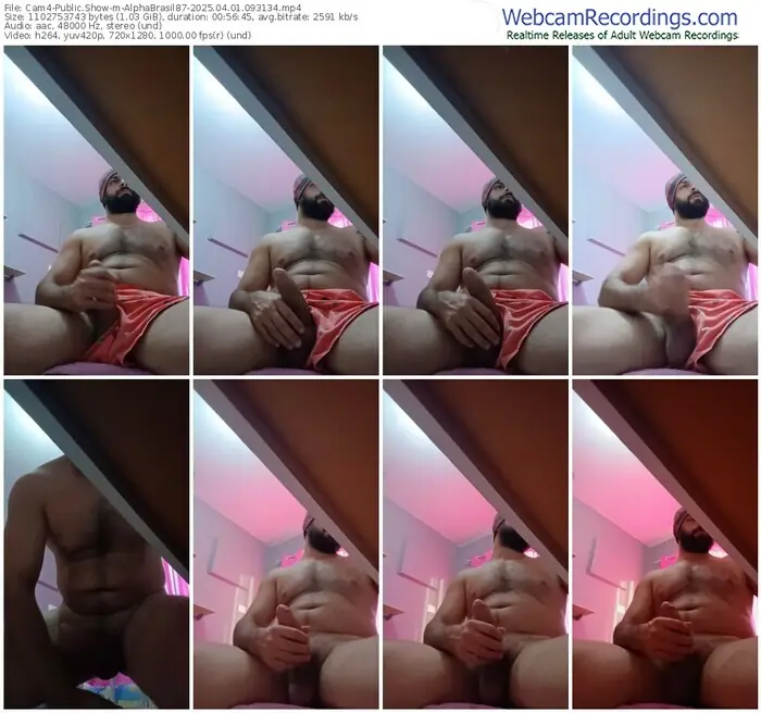 2025/04/01/cam4-alphabrasil87-09-31-34