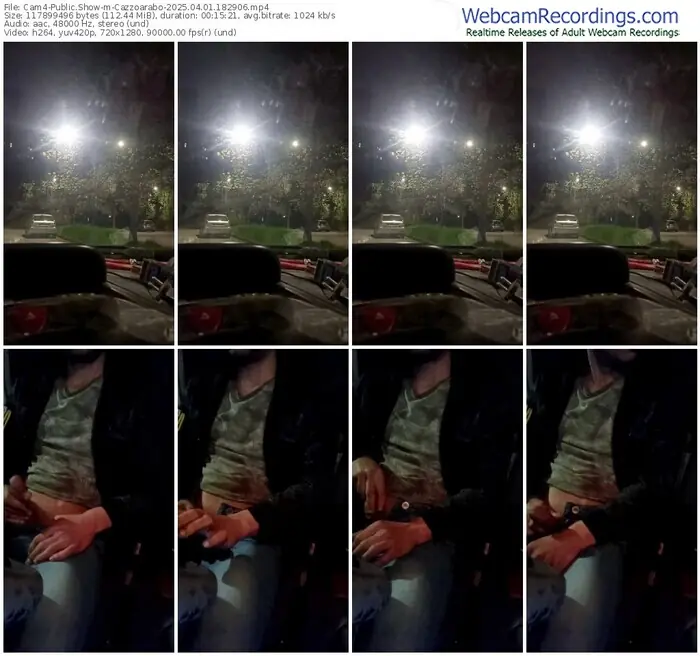 2025/04/01/cam4-cazzoarabo-18-29-06