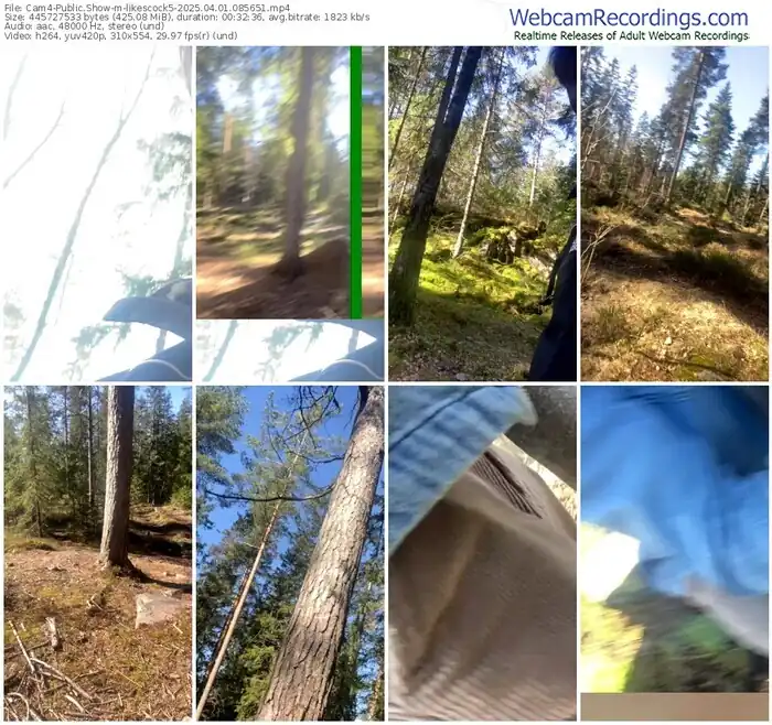 2025/04/01/cam4-likescock5-08-56-51