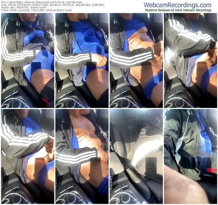 2025/04/01/cam4-likescock5-10-27-48