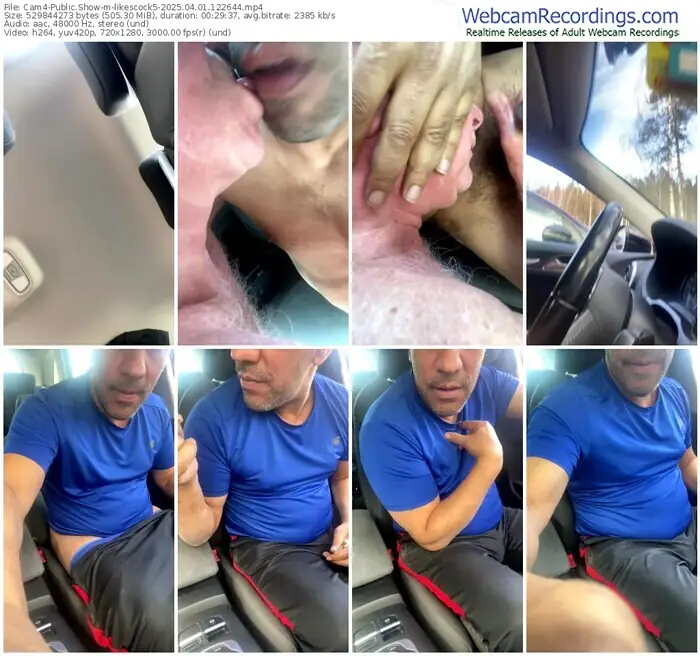 2025/04/01/cam4-likescock5-12-26-44