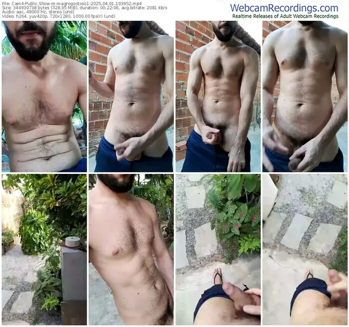 2025/04/01/cam4-magrogostoso1-19-39-52