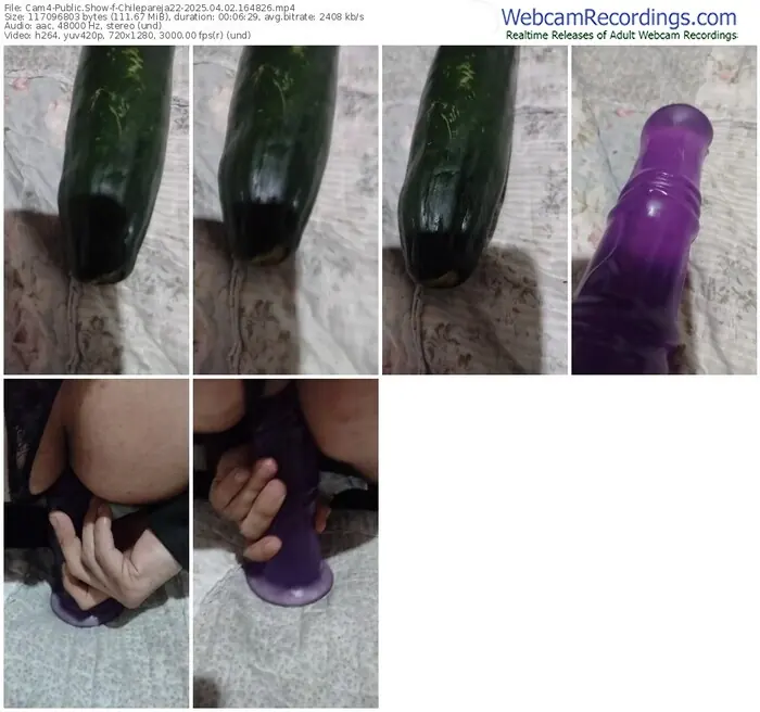 2025/04/02/cam4-chilepareja22-16-48-26