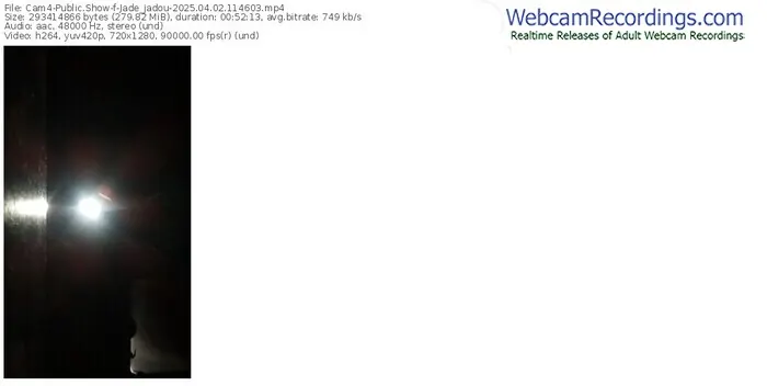 2025/04/02/cam4-jade_jadou-11-46-03