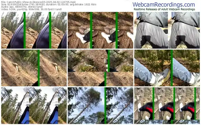 2025/04/02/cam4-likescock5-12-47-05