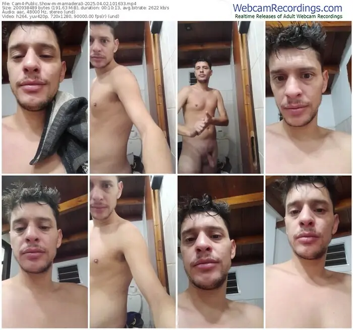 2025/04/02/cam4-mamadera3-10-16-33