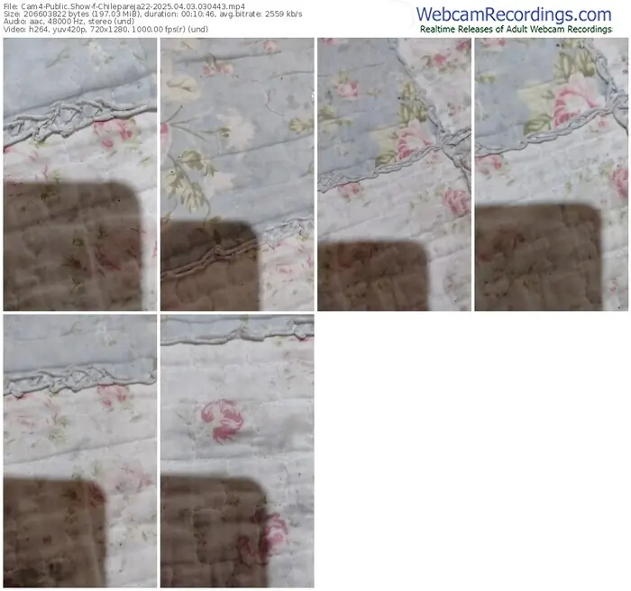 2025/04/03/cam4-chilepareja22-03-04-43