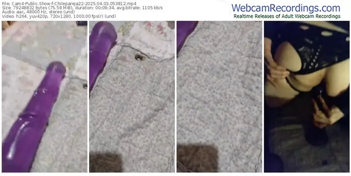 2025/04/03/cam4-chilepareja22-05-38-12