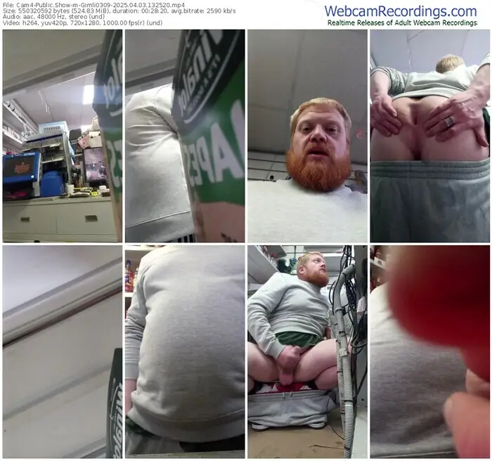 2025/04/03/cam4-gimli0309-13-25-20