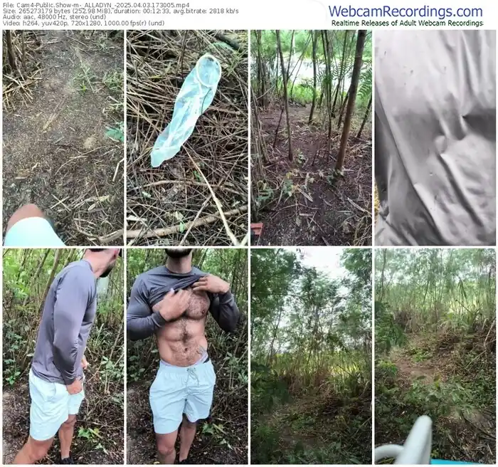 2025/04/03/cam4-_alladyn_-17-30-05
