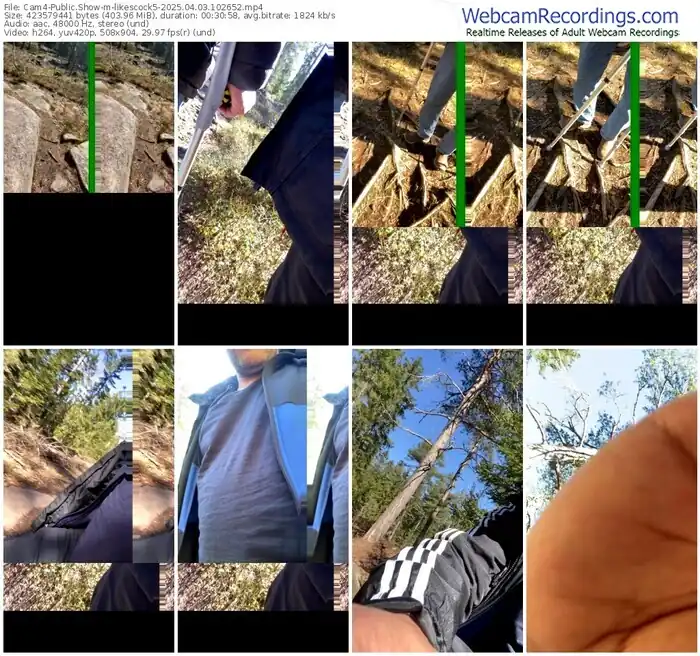 2025/04/03/cam4-likescock5-10-26-52