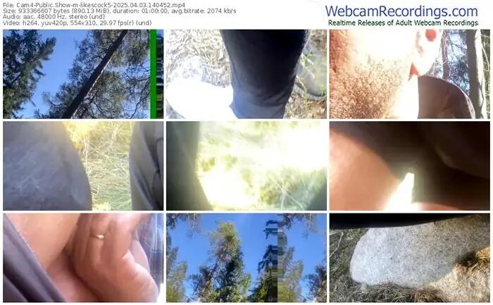 2025/04/03/cam4-likescock5-14-04-52