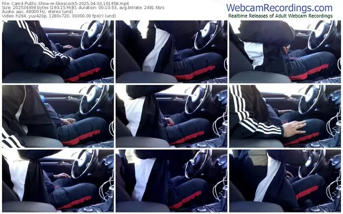 2025/04/03/cam4-likescock5-16-14-58