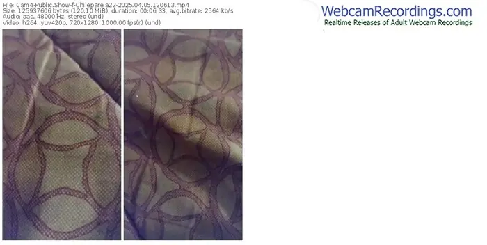 2025/04/05/cam4-chilepareja22-12-06-13