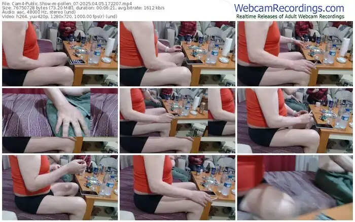 2025/04/05/cam4-pollen_07-17-22-07